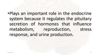 •Plays an important role in the endocrine
system because it regulates the pituitary
secretion of hormones that influence
metabolism, reproduction, stress
response, and urine production.
01-09-2020 31
 