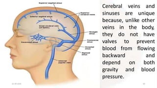 veins and
01-09-2020 64
Cerebral
sinuses are unique
because, unlike other
the body,
not have
veins in
they do
valves to
blood from
backward
depend
prevent
flowing
and
on both
and blood
gravity
pressure.
 