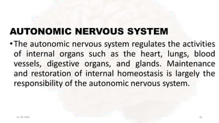 AUTONOMIC NERVOUS SYSTEM
•The autonomic nervous system regulates the activities
of internal organs such as the heart, lungs, blood
vessels, digestive organs, and glands. Maintenance
and restoration of internal homeostasis is largely the
responsibility of the autonomic nervous system.
01-09-2020 81
 