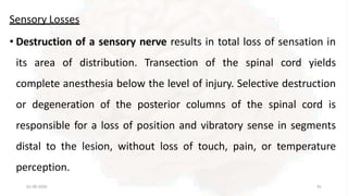 Sensory Losses
• Destruction of a sensory nerve results in total loss of sensation in
its area of distribution. Transection of the spinal cord yields
complete anesthesia below the level of injury. Selective destruction
or degeneration of the posterior columns of the spinal cord is
responsible for a loss of position and vibratory sense in segments
distal to the lesion, without loss of touch, pain, or temperature
perception.
01-09-2020 91
 