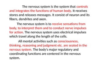 Comprehensive Overview of Nervous System Anatomy and Physiology | PPTX