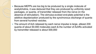 ANATOMY AND PHYSIOLOGY OF NMJ Prabhat (3).pptx