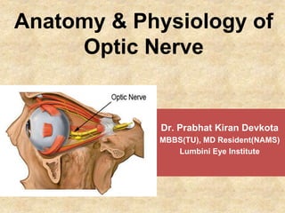 Anatomy & Physiology of
Optic Nerve
Dr. Prabhat Kiran Devkota
MBBS(TU), MD Resident(NAMS)
Lumbini Eye Institute
 