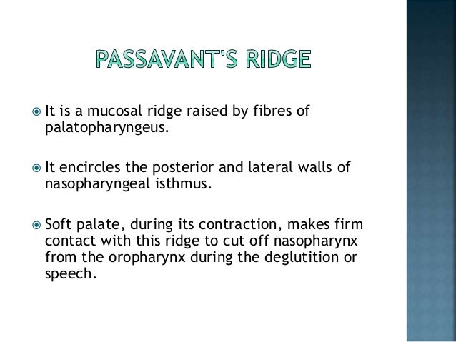 Anatomy and physiology of pharynx