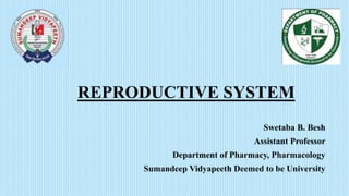 REPRODUCTIVE SYSTEM
Swetaba B. Besh
Assistant Professor
Department of Pharmacy, Pharmacology
Sumandeep Vidyapeeth Deemed to be University
 