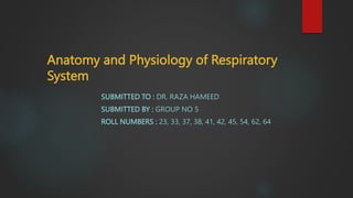 Anatomy and Physiology of Respiratory
System
SUBMITTED TO : DR. RAZA HAMEED
SUBMITTED BY : GROUP NO 5
ROLL NUMBERS : 23, 33, 37, 38, 41, 42, 45, 54, 62, 64
 