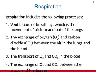 ANATOMY AND PHYSIOLOGY OF RESPIRATORY SYSTEM POWERPOINT.pptx