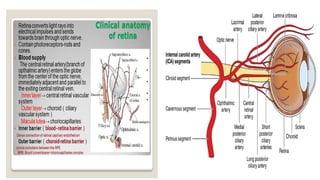 ANATOMY AND PHYSIOLOGY OF RETINA (1).pptx