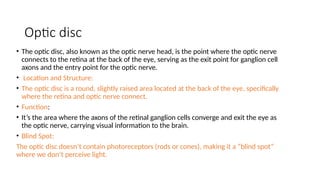 ANATOMY AND PHYSIOLOGY OF RETINA (1).pptx