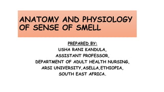 ANATOMY AND PHYSIOLOGY
OF SENSE OF SMELL
PREPARED BY:
USHA RANI KANDULA,
ASSISTANT PROFESSOR,
DEPARTMENT OF ADULT HEALTH NURSING,
ARSI UNIVERSITY,ASELLA,ETHIOPIA,
SOUTH EAST AFRICA.
 
