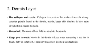 ANATOMY AND PHYSIOLOGY OF SKIN.pptx