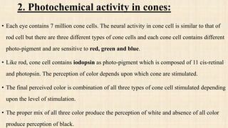 ANATOMY AND PHYSIOLOGY OF SPECIAL SENSES.pptx