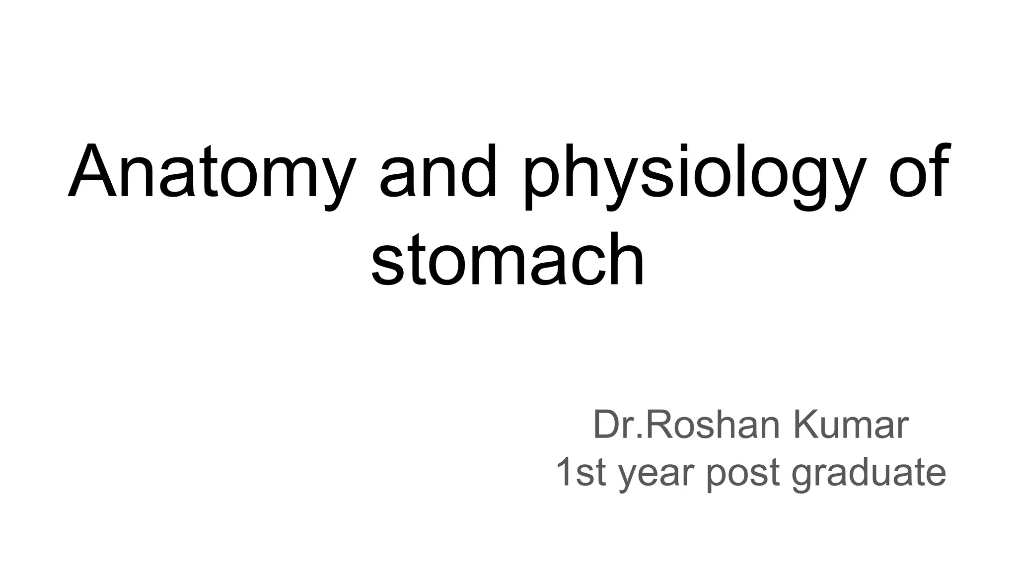ANATOMY AND PHYSIOLOGY OF THE STOMACH A COMPREHENSIVE GUIDE visual data 5
