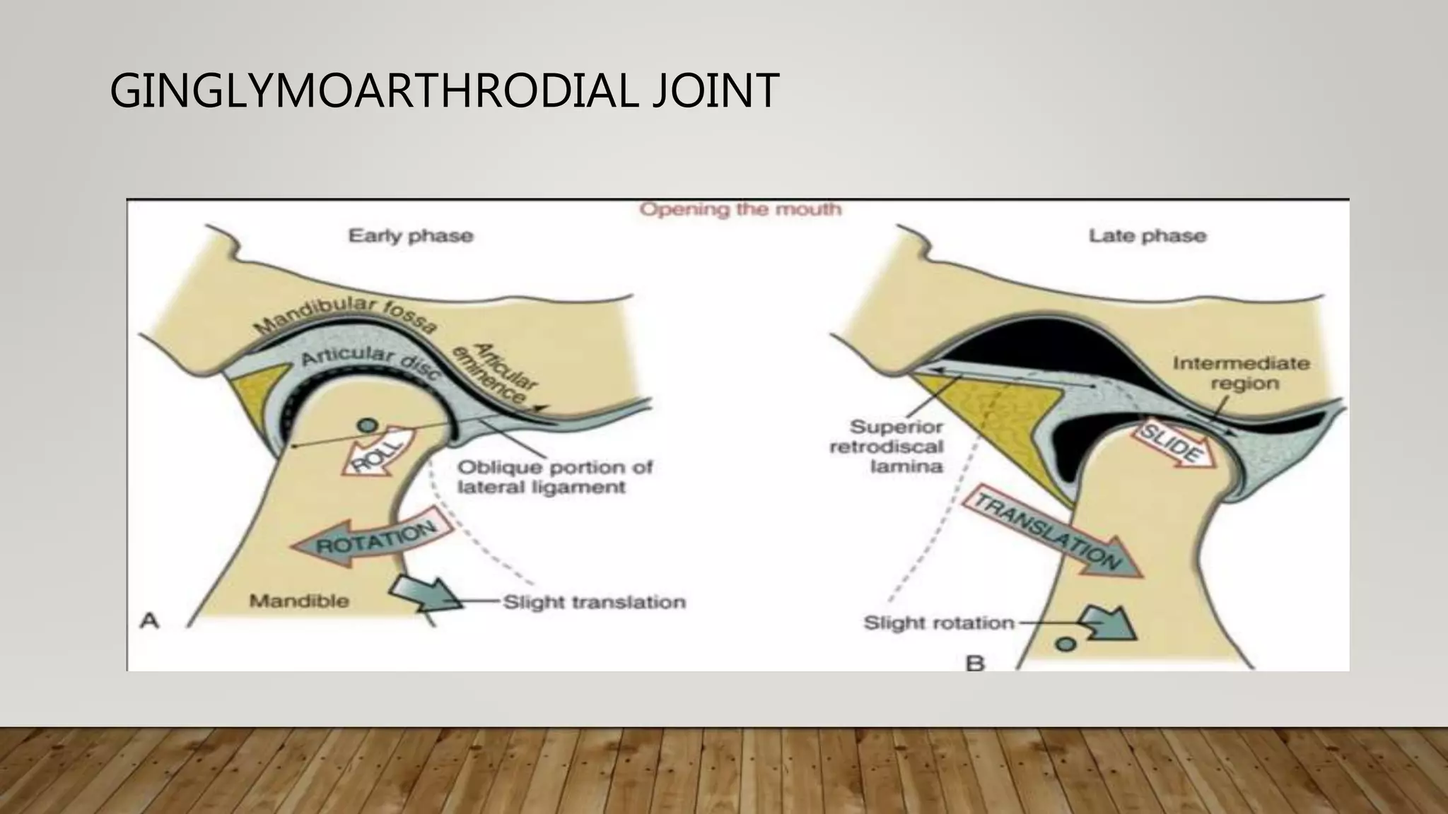 Greater Multangular Joint Anatomy and physiology of temporomandibular joint | PPTX