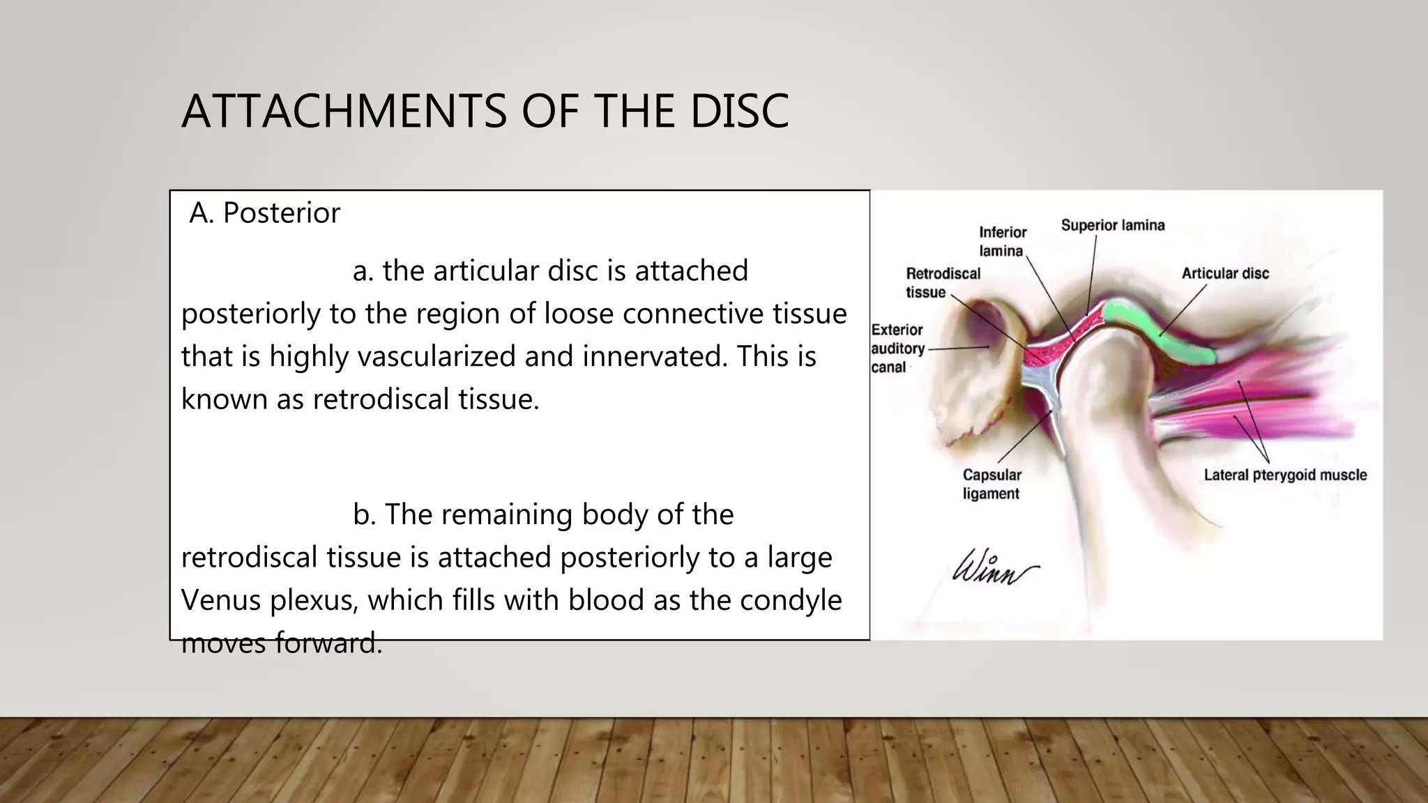 Anatomy and physiology of temporomandibular joint | PPTX