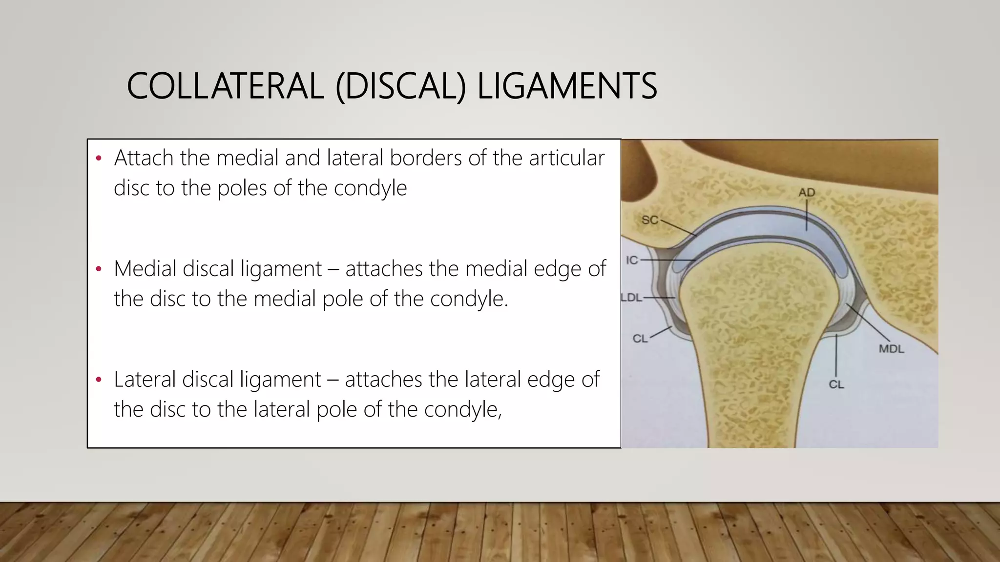 Anatomy and physiology of temporomandibular joint | PPTX