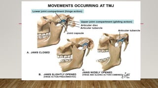 Anatomy and physiology of temporomandibular joint | PPTX
