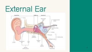 Anatomy and Physiology of the Ear.pdf.pdf