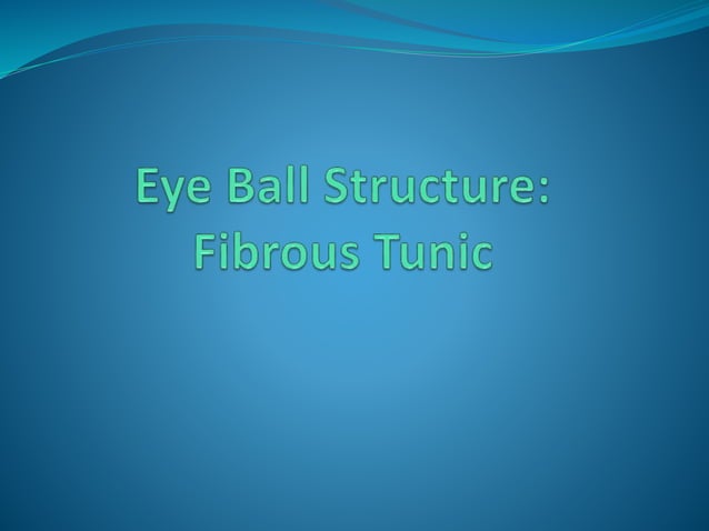 Anatomy and physiology of the eye | PPTX | Eye and Vision Conditions ...