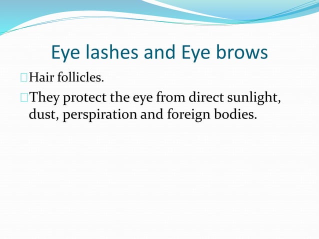 Anatomy and physiology of the eye | PPTX | Eye and Vision Conditions ...