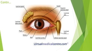 Anatomy and physiology of the Eye-Nursing | PPTX