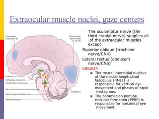 Anatomy and physiology of the eye by Dr Iqra.pptx
