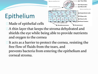 anatomy and physiology of the eye for Nurses.pdf