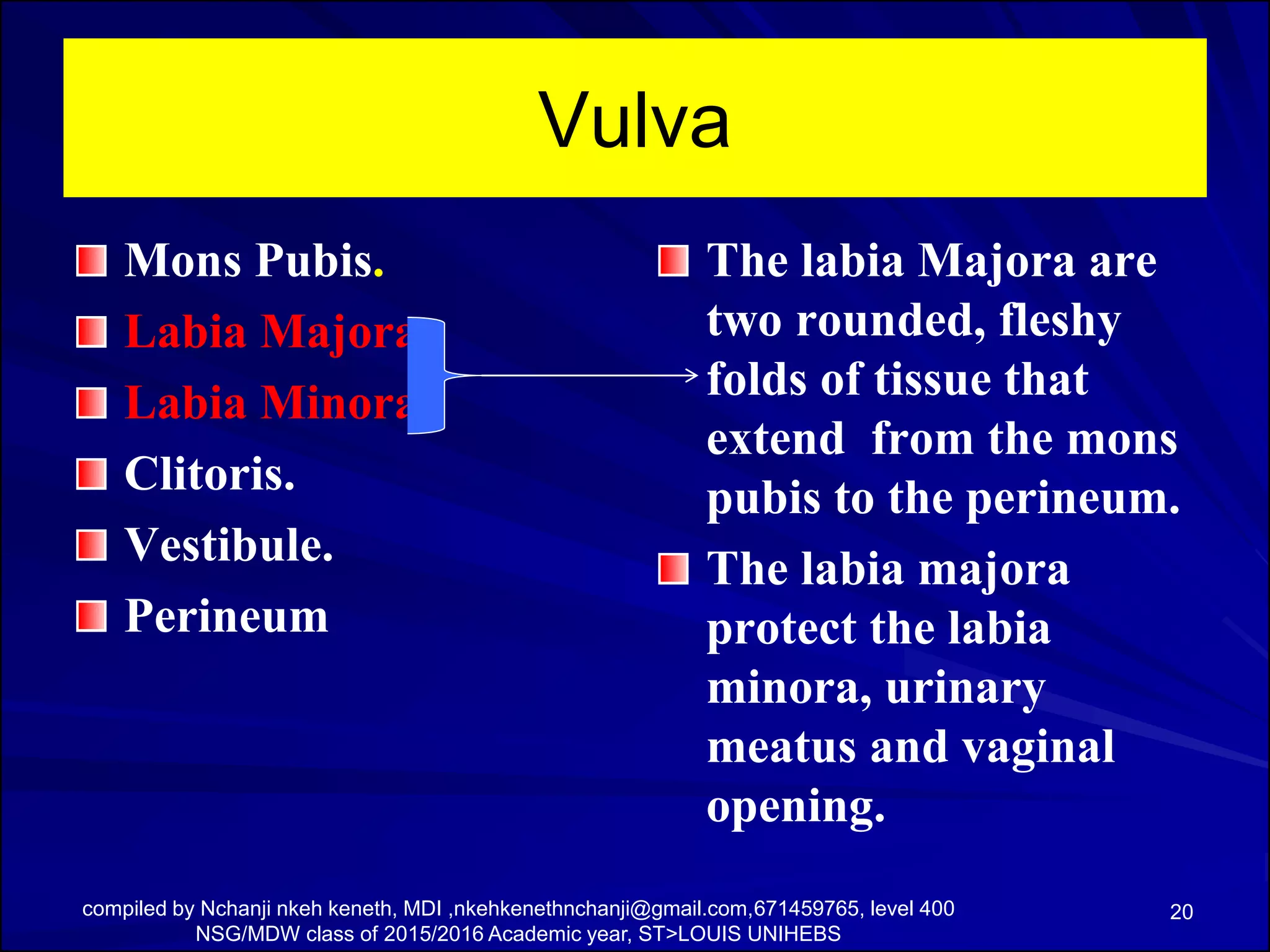 Anatomy And Physiology Of The Female Pelvic Organs PDF anatomy-and-physiology-of-the-female-pelvic-organs-pdf