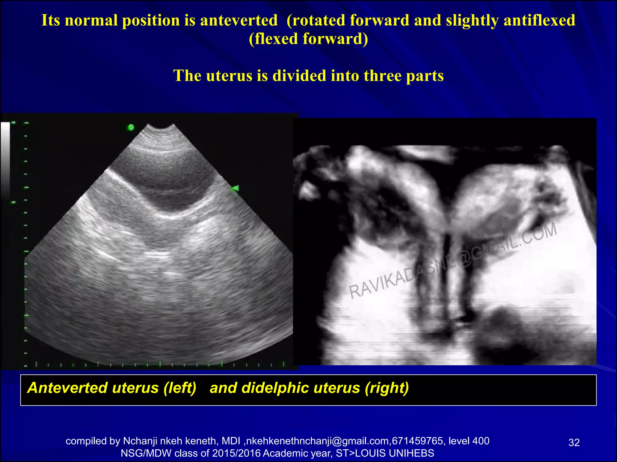 Anatomy and physiology of the female pelvic organs | PDF