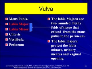 anatomy-and-physiology-of-the-female-pelvic-organs-pdf