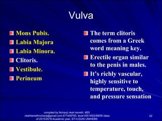 Anatomy And Physiology Of The Female Pelvic Organs PDF anatomy-and-physiology-of-the-female-pelvic-organs-pdf