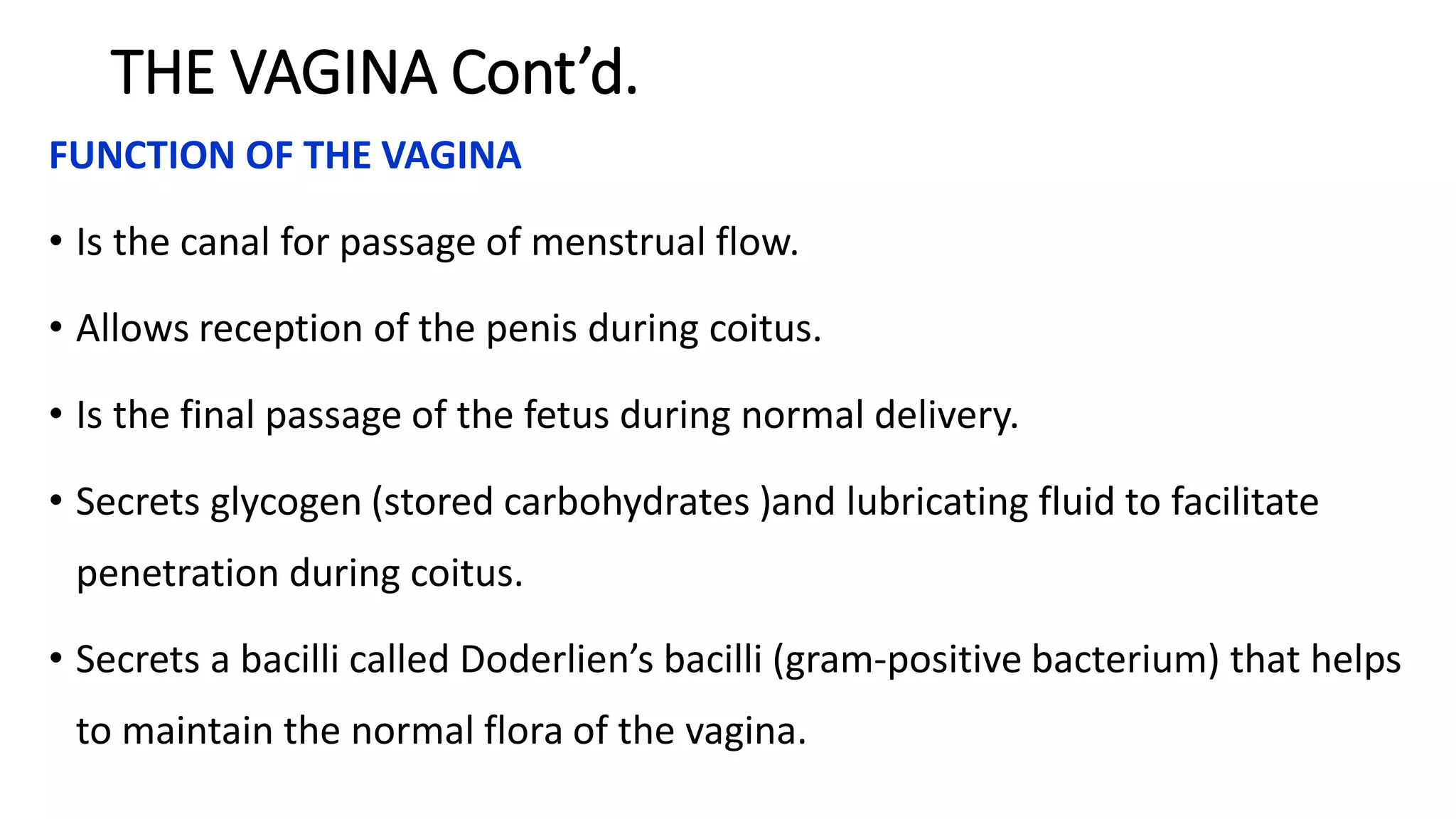 Introduction to anatomy and physiology of the female reproductive