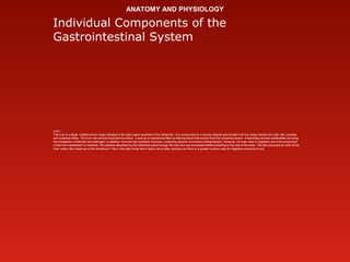 ANATOMY AND PHYSIOLOGY
Individual Components of the
Gastrointestinal System
Liver
The liver is a large, reddish-brown orga...