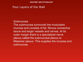 ANATOMY AND PHYSIOLOGY
Four Layers of the Wall
Submucosa
The submucosa surrounds the muscularis
mucosa and consists of fat...
