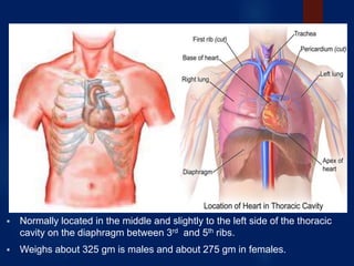 anatomyandphysiologyoftheheart-180303114623.pdf