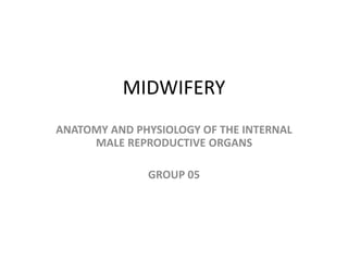 MIDWIFERY
ANATOMY AND PHYSIOLOGY OF THE INTERNAL
MALE REPRODUCTIVE ORGANS
GROUP 05
 