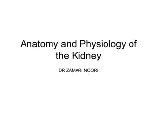 Anatomy and Physiology of
the Kidney
DR ZAMARI NOORI
 
