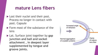 anatomy and physiology of the lens | PPTX