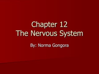 Chapter 12 The Nervous System By: Norma Gongora 