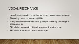 Anatomy and physiology of the nose | PPTX