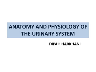 ANATOMY AND PHYSIOLOGY OF
THE URINARY SYSTEM
DIPALI HARKHANI
 