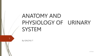 ANATOMY AND
PHYSIOLOGY OF URINARY
SYSTEM
By GALCHU T
5/18/2023
1
 
