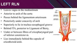 Left Rln Path Anatomy and physiology of thyroid and parathyroid glands.pptx