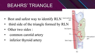 Anatomy and physiology of thyroid and parathyroid glands.pptx
