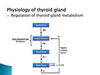 Anatomy And Physiology of thyroid gland | PDF