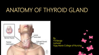 Anatomy of Thyroid Gland
It is an endocrine gland situated in the lower part of the front and sides of
the neck
ANATOMY OF THYROID GLAND
By
Y.V.Vanaja
Lecturer
Vijay Marie College of Nursing
 