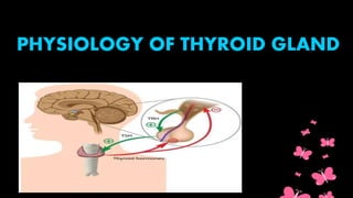 Anatomy and physiology of thyroid gland | PPTX