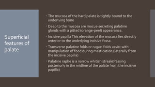 Anatomy and physiology of upper gi tract | PPTX