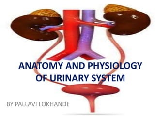 ANATOMY AND PHYSIOLOGY
OF URINARY SYSTEM
BY PALLAVI LOKHANDE
 
