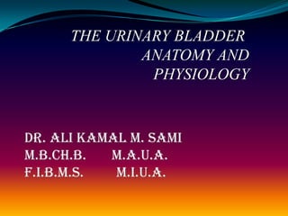 THE URINARY BLADDER  ANATOMY AND PHYSIOLOGY Dr. Ali Kamal M. Sami M.B.Ch.B.       M.A.U.A. F.I.B.M.S.         M.I.U.A. 